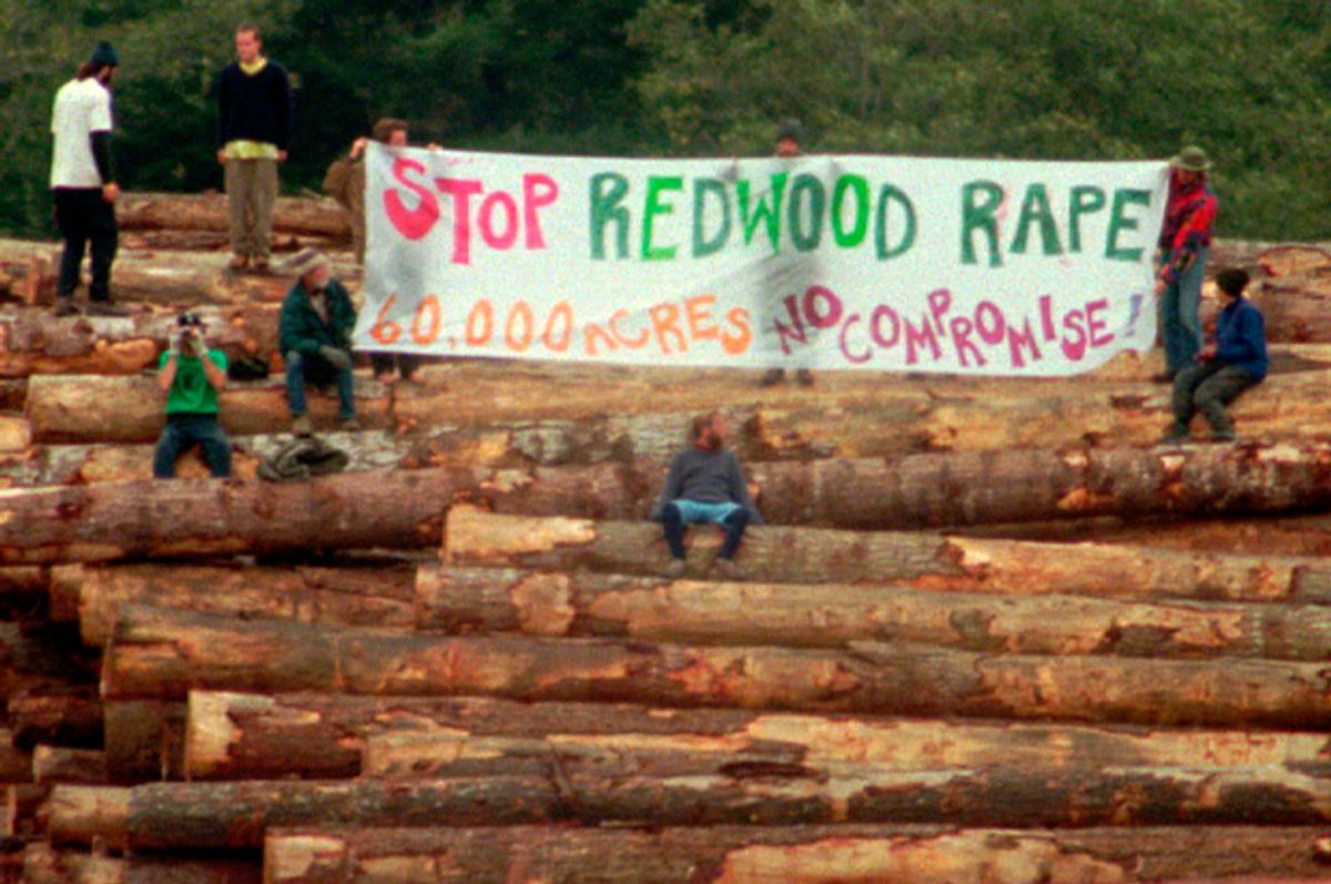 Anti-logging protesters hold up a sign as they stand on lumber inside the Pacific Lumber facility in Carlotta, Calif., Tuesday morning, Oct. 1, 1996   (AP/Paul Sakuma)