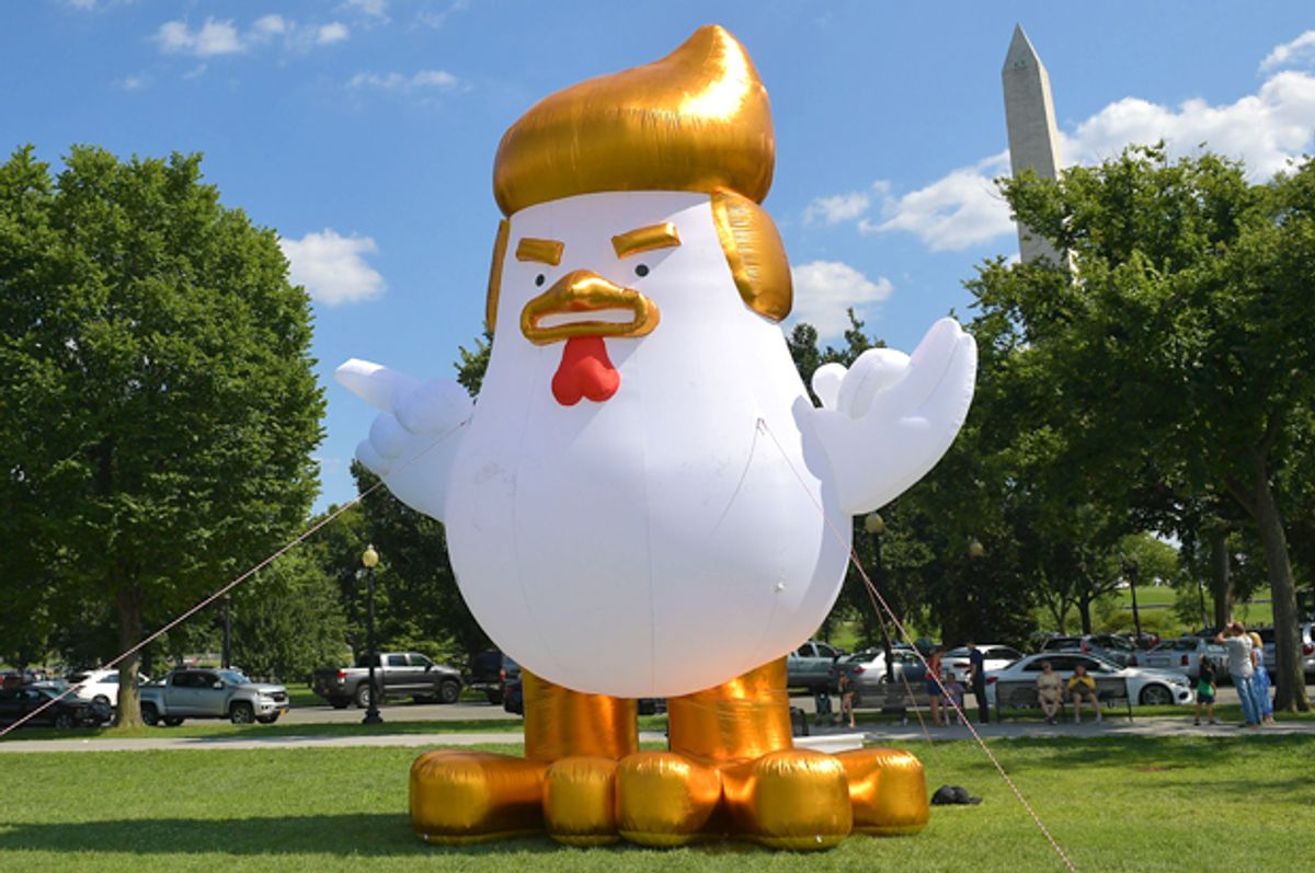 An inflatable chicken mimicking Donald Trump is set up on The Ellipse (Getty/Mandel Ngan)