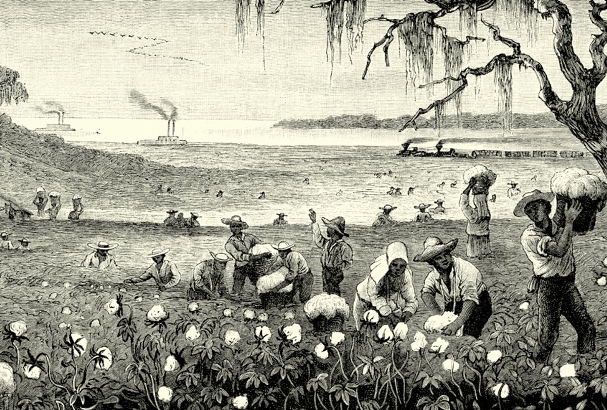 African American slaves harvesting and packing of cotton in Louisiana, 1886. (Getty/duncan1890)