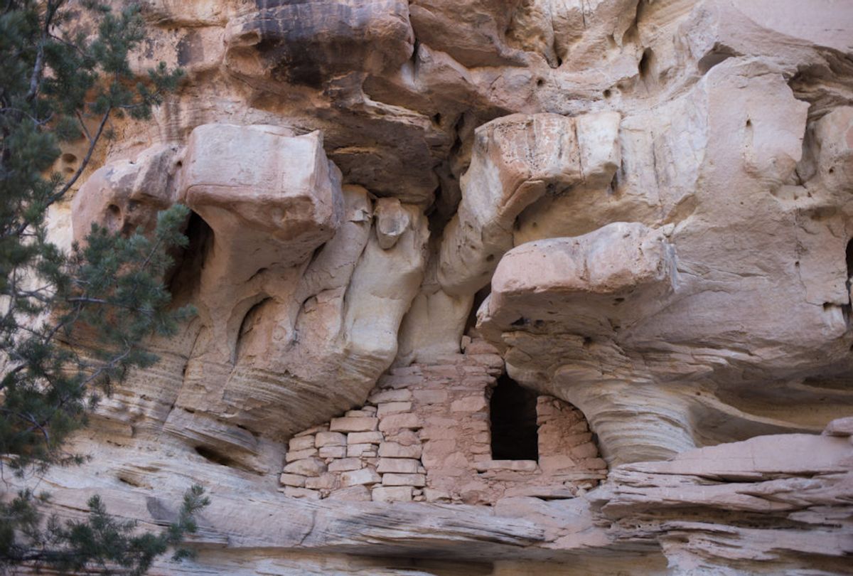 A cliff dwelling preserved for millennia by the dry high-desert climate was included in a March 20 lease sale for oil and gas companies in southeast Utah. Officials from the federal Bureau of Land Management published confidential information online about locations and descriptions of almost 900 Native American antiquities, including cliff dwellings, in Utah. (Steven St. John for Reveal)