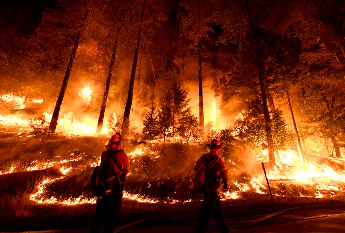 Firefighters try to control a back burn as the Carr fire continues to spread on July 31, 2018.  (Getty/Mark Ralston)