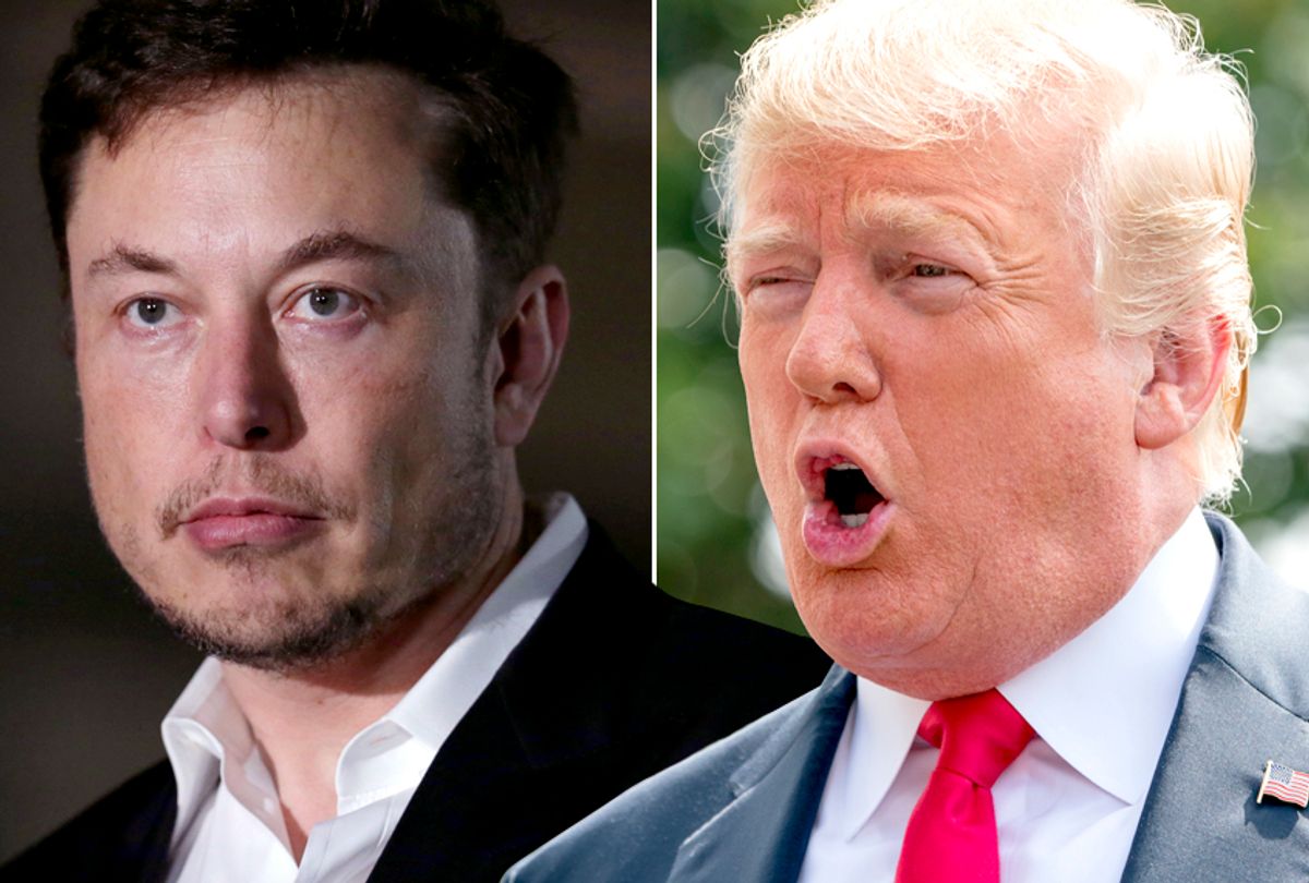 Elon Musk; Donald Trump (AP/Kiichiro Sato/Andrew Harnik)