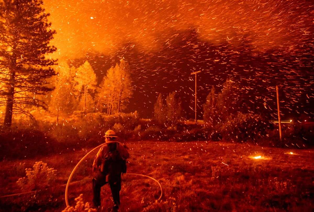 Embers fly above a firefighter as he works to control a backfire as the Delta Fire burns in the Shasta-Trinity National Forest, Calif., on Sept. 6, 2018.  (AP/Noah Berger)