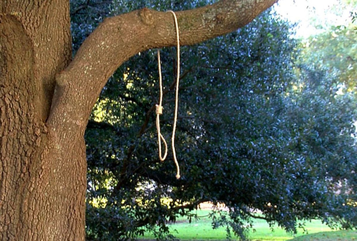 A noose hangs on a tree on the state capitol grounds in Jackson, Miss. on Monday, Nov. 26, 2018. (WLBT-TV via AP)