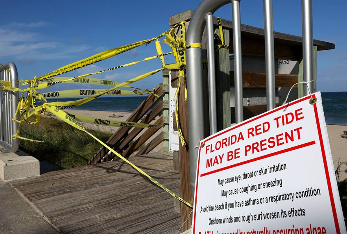 Caution tape closes off an entrance to the beach as Palm Beach County officials announced that all county beaches are closed due to red tide affecting coastal areas on October 4, 2018 in Lake Worth, Florida. (Getty/Joe Raedle)