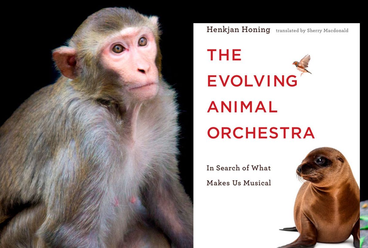 "The Evolving Animal Orchestra: In Search of What Makes Us Musical"
By Henkjan Honing (MIT Press/Getty/Robbie Ross)
