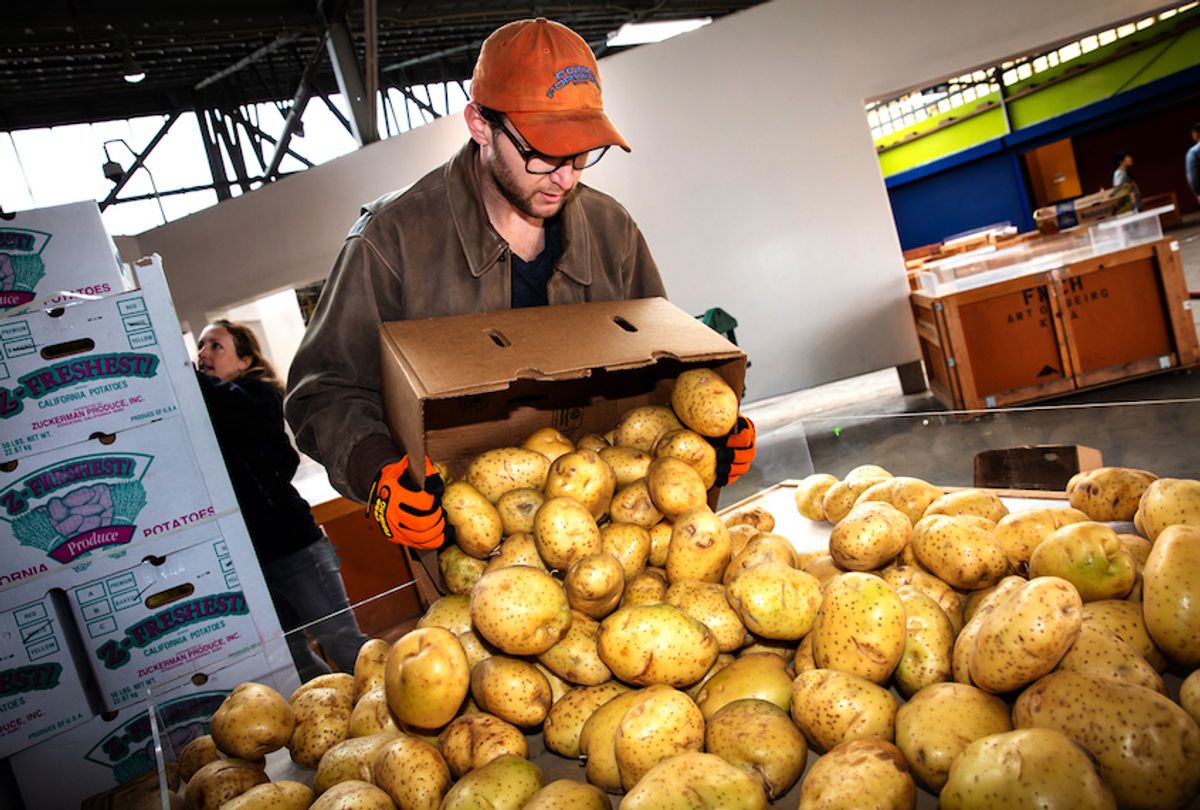 Recovering potatoes for Food Forward.  (Photo © Eron Rauch)