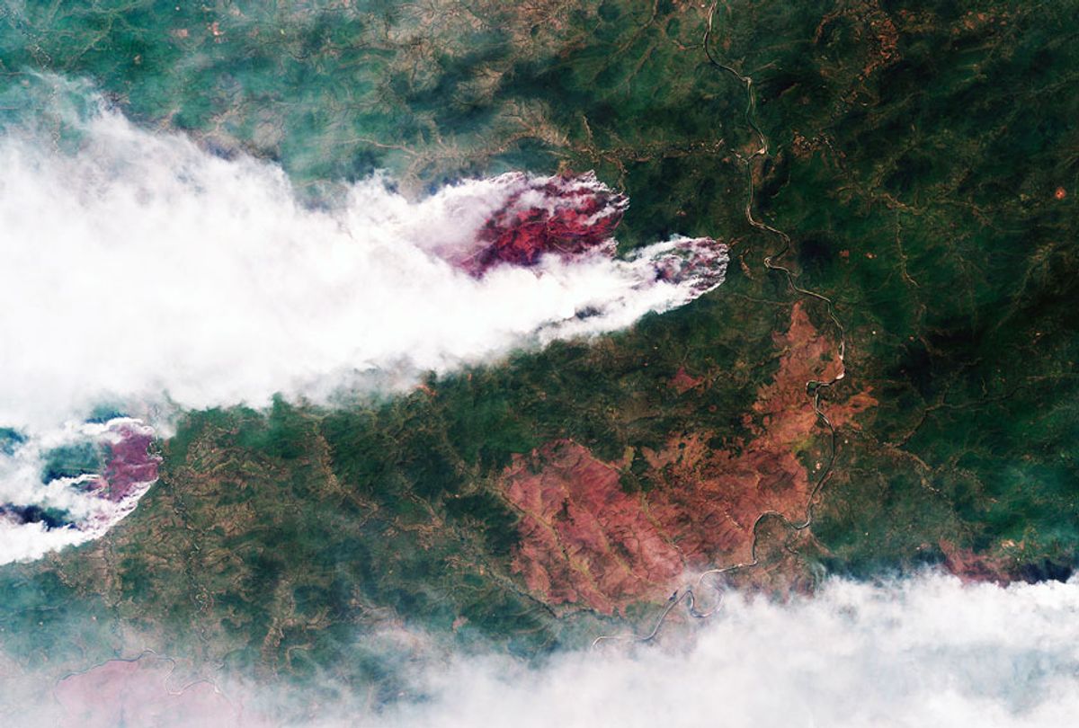 Satellite image shows forest fires in the Krasnoyarsk region of Eastern Siberia, Russia (AP/Roscosmos Space Agency)