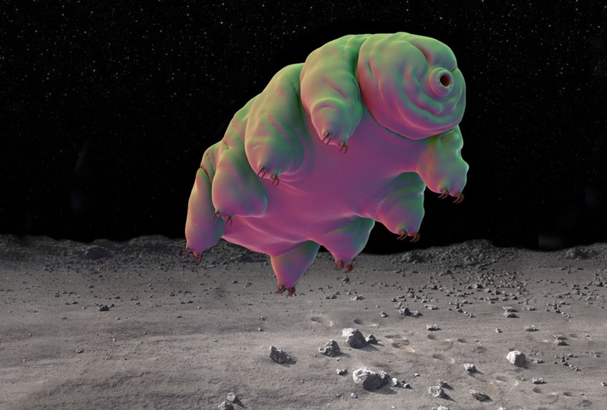 Enlarged tardigrade on the moon (Getty/Photo Montage by Salon)