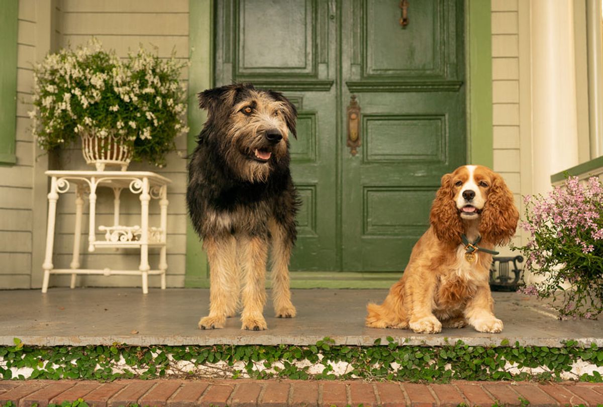 Tramp (voiced by Justin Theroux) and Lady (voiced by Tessa Thompson) in Disney's live-action LADY AND THE TRAMP on Disney+ (Disney)