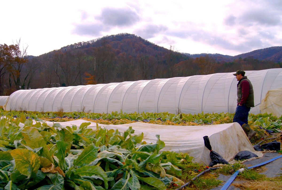Evan Chender on his North Carolina farm (Stephen Pate)