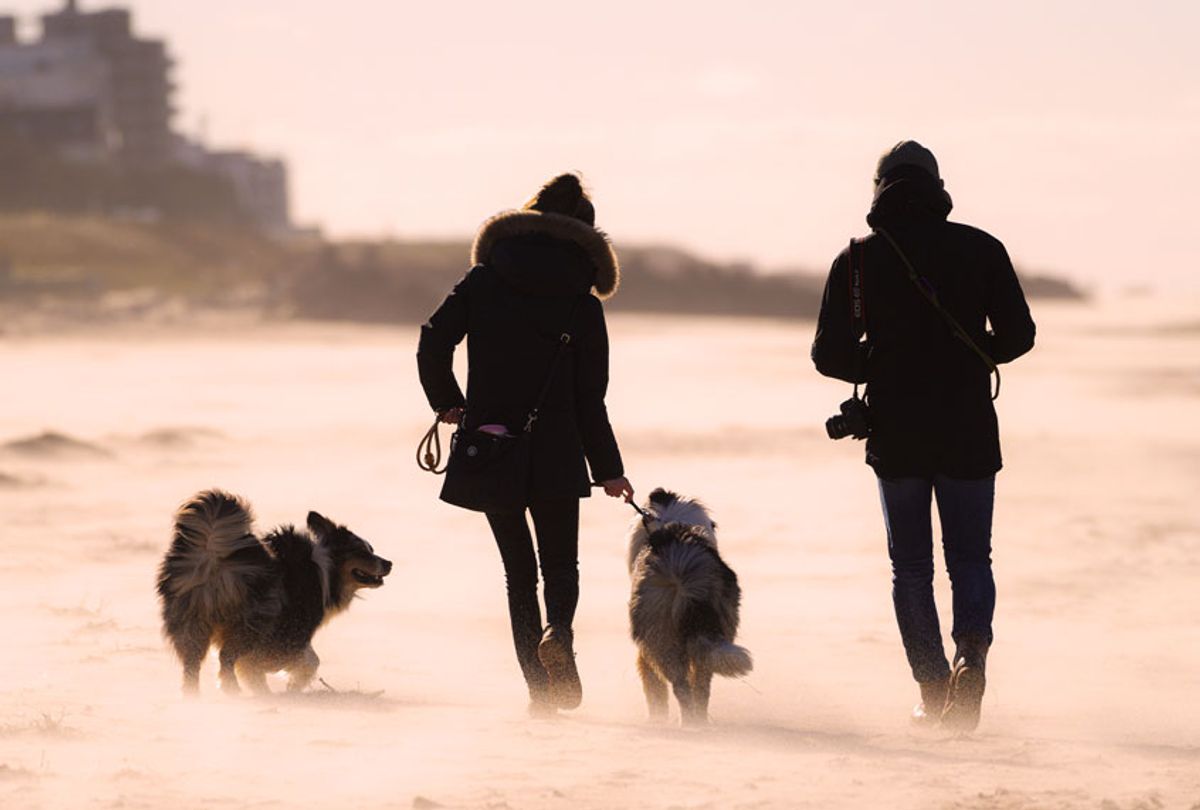 A man and a woman go for a walk with their two Border Collies (Mohssen Assanimoghaddam/Getty Images)