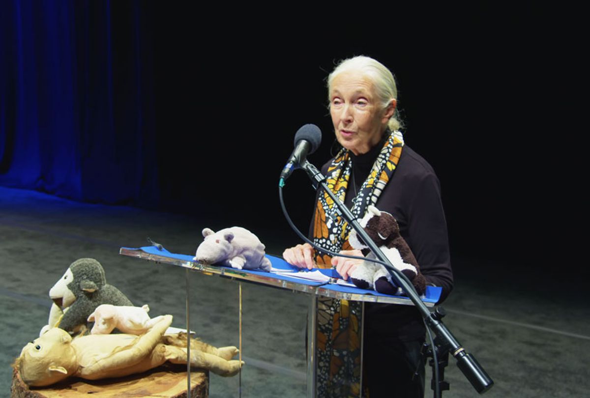Dr. Jane Goodall giving a speech onstage at The Anthem auditorium in September 2019. (National Geographic/Chris McCary)