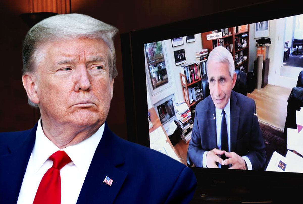 Donald Trump | Dr. Anthony Fauci, director of the National Institute of Allergy and Infectious Diseases, speaks remotely during a virtual Senate Committee for Health, Education, Labor, and Pensions hearing, Tuesday, May 12, 2020 on Capitol Hill in Washington (Win McNamee/Pool/AP/Chip Somodevilla/Getty Images/Salon)