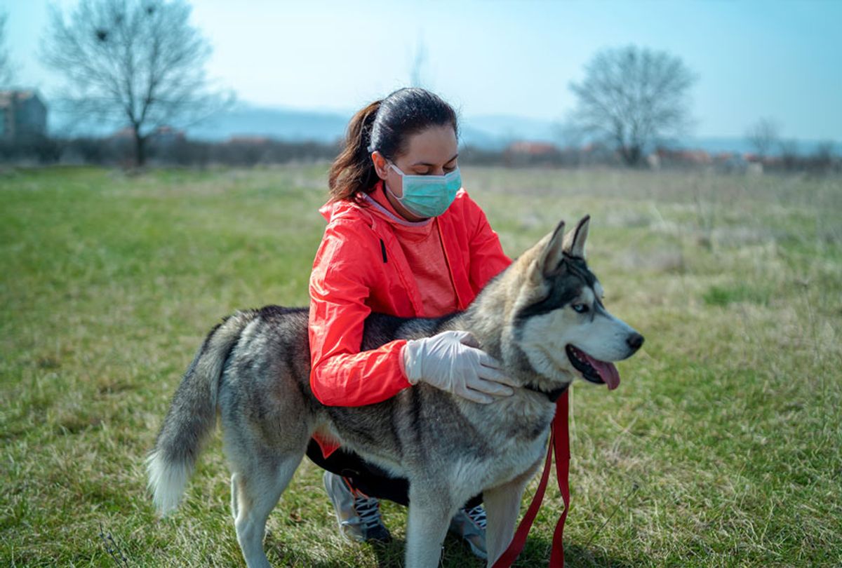 Woman wearing a protective mask is walking alone with a dog outdoors because of the corona virus pandemic covid-19 (Getty Images)