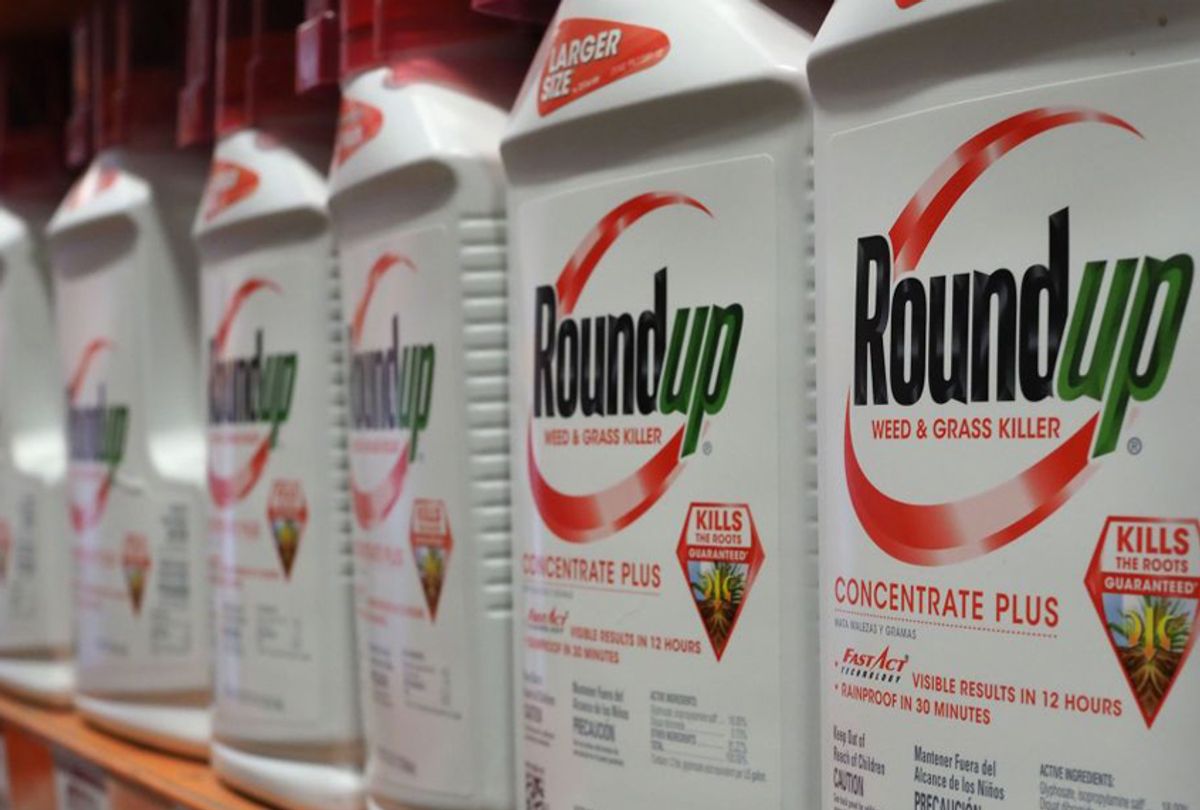 Bottles of Monsanto's Roundup are seen for sale June 19, 2018 at a retail store in Glendale, California.
 ((ROBYN BECK/AFP via Getty Images))