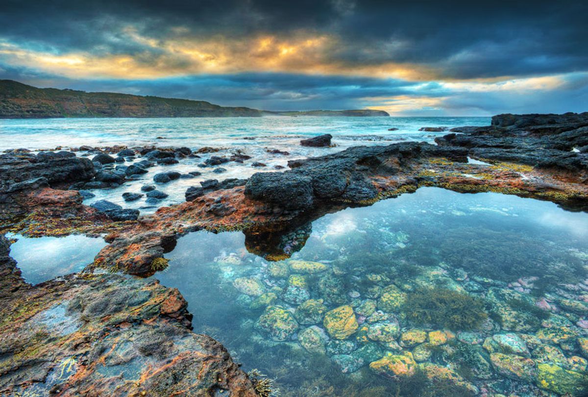 Dawn light shining on the tidepools (Getty Images)