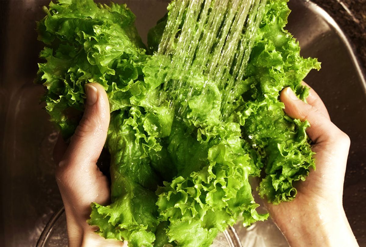 A person washing a head of lettuce (Getty Images)