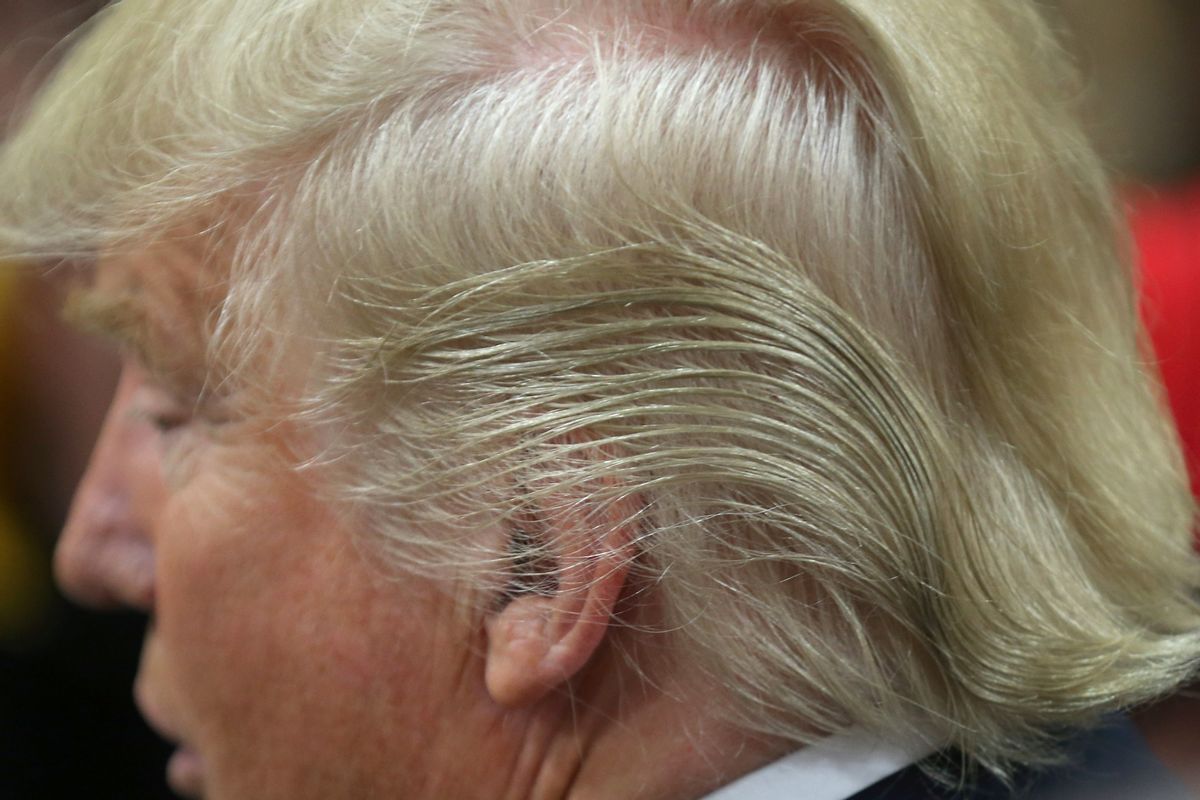 COUNCIL BLUFFS, IA - JANUARY 31: Detail of Republican presidential candidate Donald Trump's hair as he signs autographs after a campaign rally at the Gerald W. Kirn Middle School on January 31, 2016 in Council Bluffs, United States.  (Photo by Christopher Furlong/Getty Images)