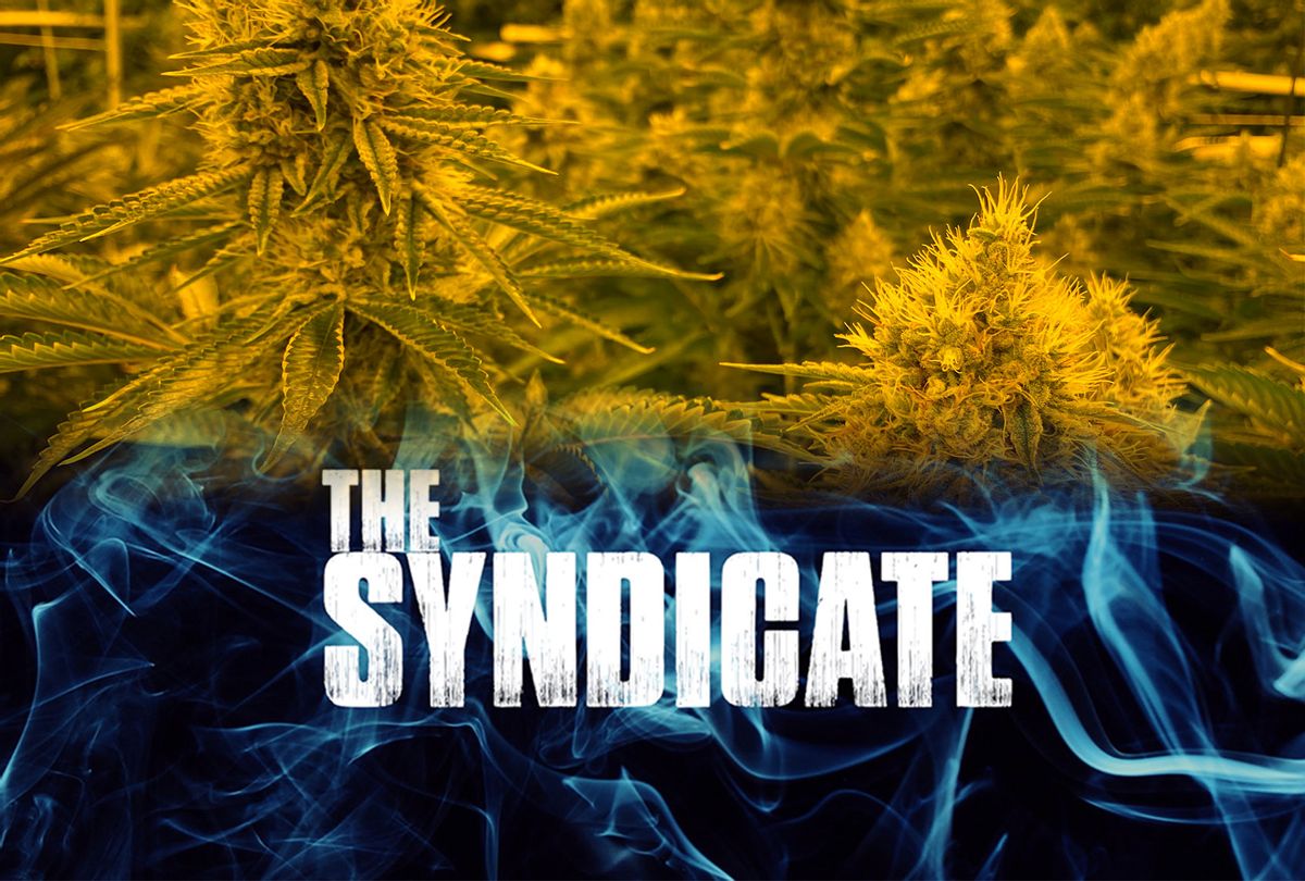 The Syndicate (Photos provided by publicist/Salon)