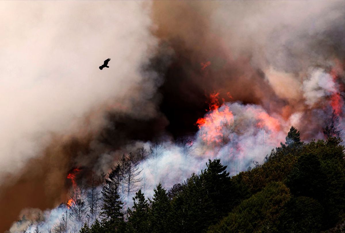 The wildfire spreads on August 19, 2020 in San Mateo, California. (Liu Guanguan/China News Service via Getty Images)