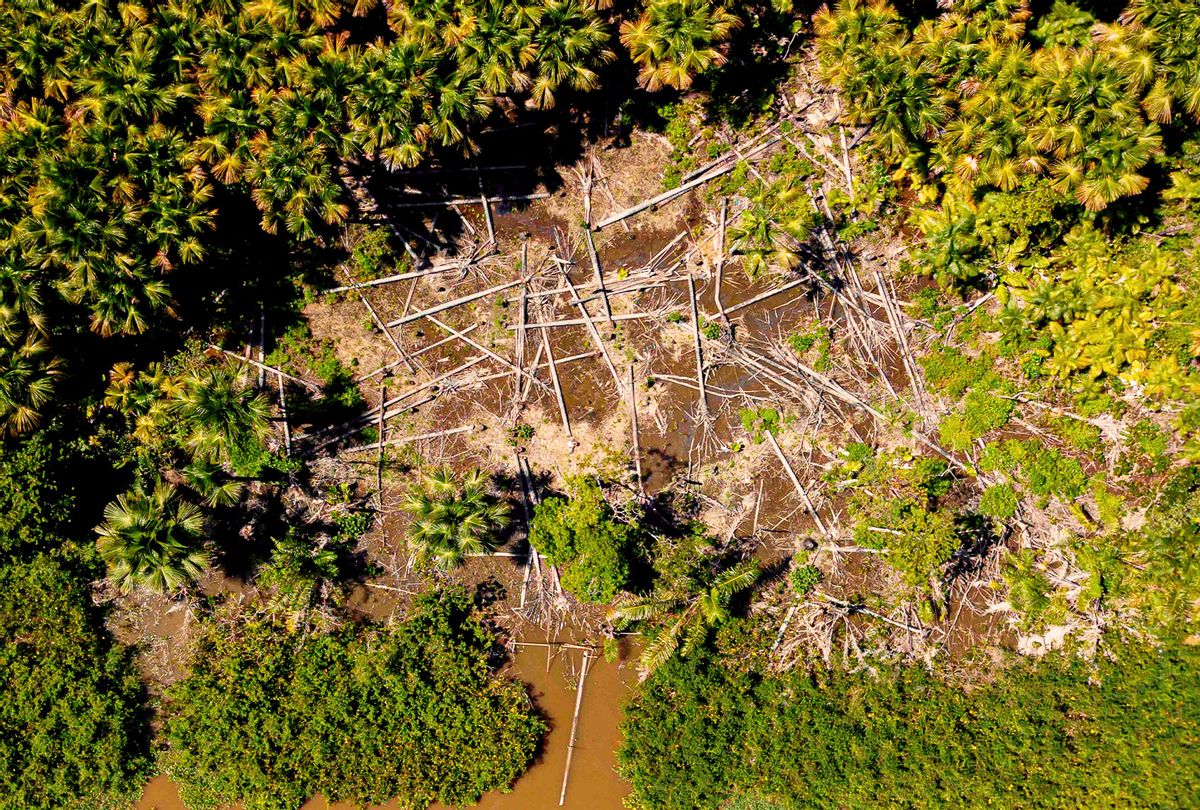 Aerial view of a deforested area in the municipality of Melgaco, Para State, Brazil, on July 30, 2020.  (TARSO SARRAF/AFP via Getty Images)