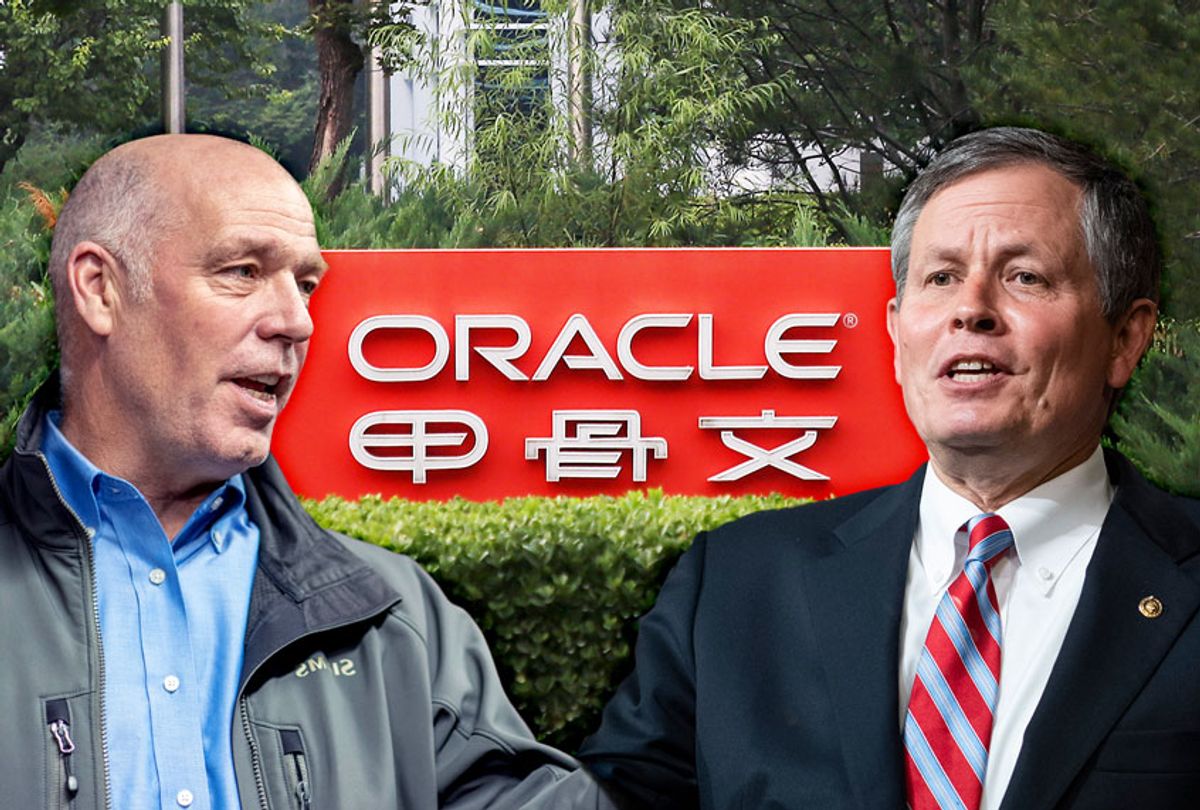 Steve Daines, Greg Gianforte, and the Oracle Corporation (Photo illustration by Salon/Getty Images)