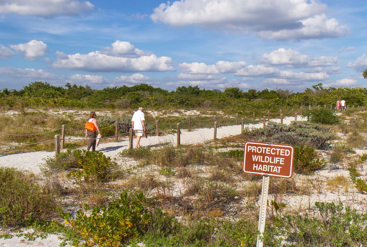 A protected wildlife habitat sign on Bowman's Beach. (Jeffrey Greenberg/Universal Images Group via Getty Images)