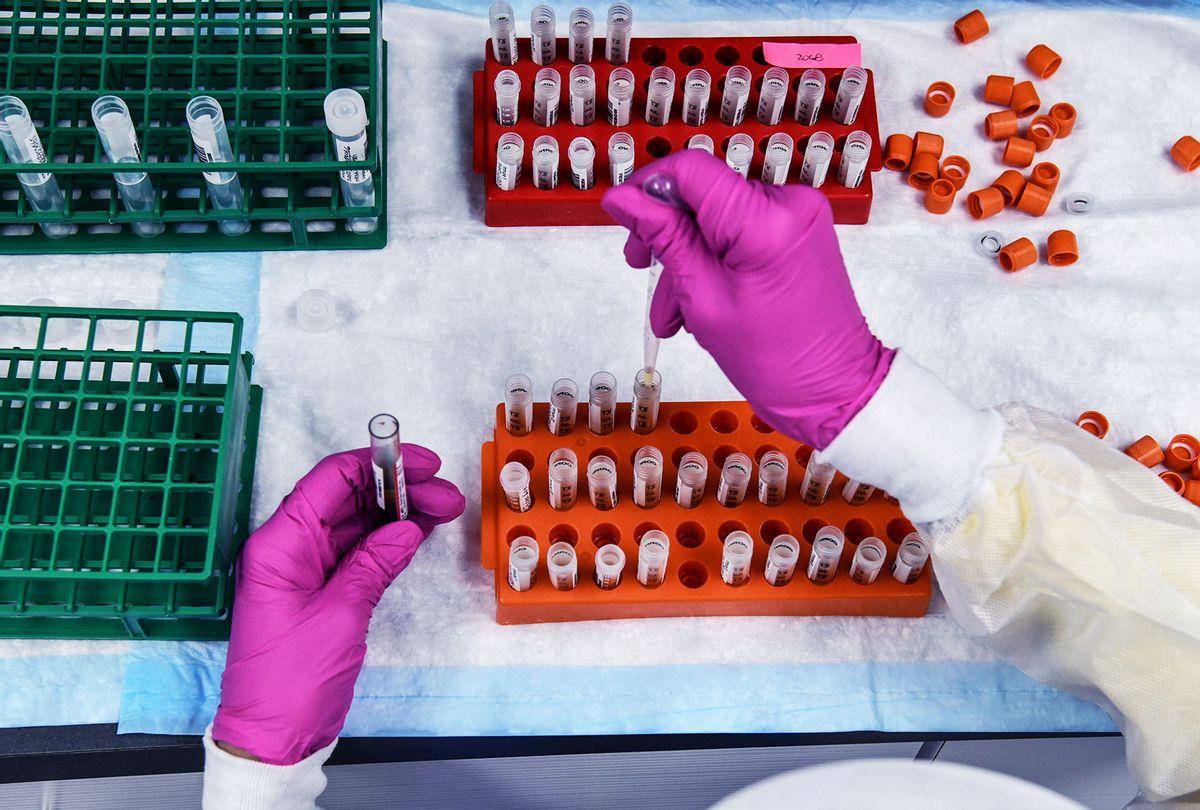 A lab technician sorts blood samples for COVID-19 vaccination study at the Research Centers of America in Hollywood, Florida on August 13, 2020. (CHANDAN KHANNA/AFP via Getty Images)