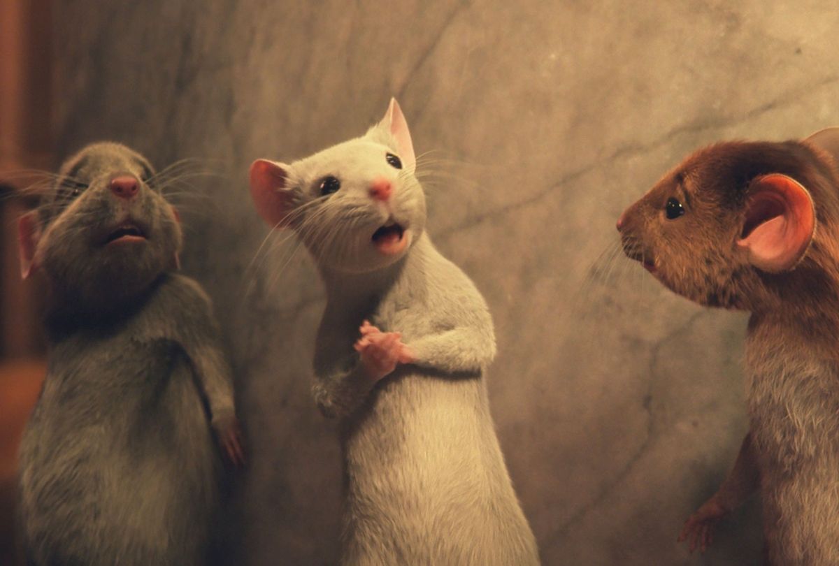 Mice Bruno, Daisy and Hero Boy in "The Witches" (Warner Bros. Pictures)