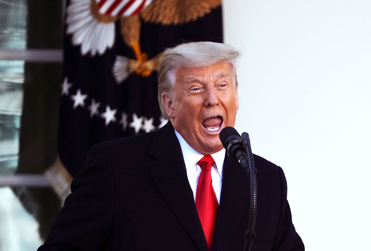 U.S. President Donald Trump speaks as he prepares to give the National Thanksgiving Turkey a presidential pardon during the traditional event in the Rose Garden of the White House November 24, 2020 in Washington, DC. (Chip Somodevilla/Getty Images)