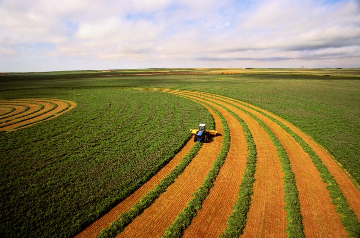 Harvesting alfalfa crop, aerial view. (Getty Images)