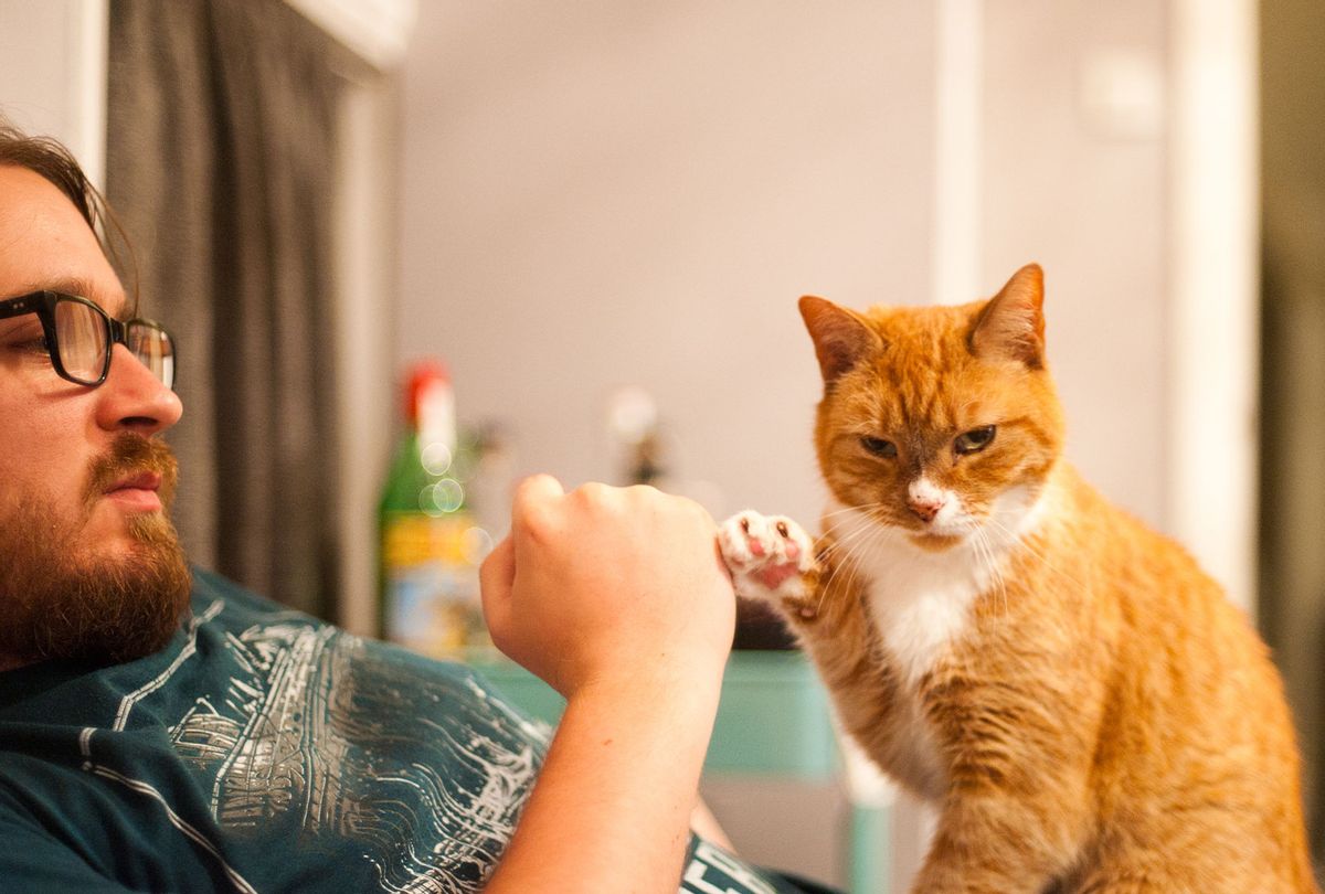 Man and cat do a fist bump (Getty Images)