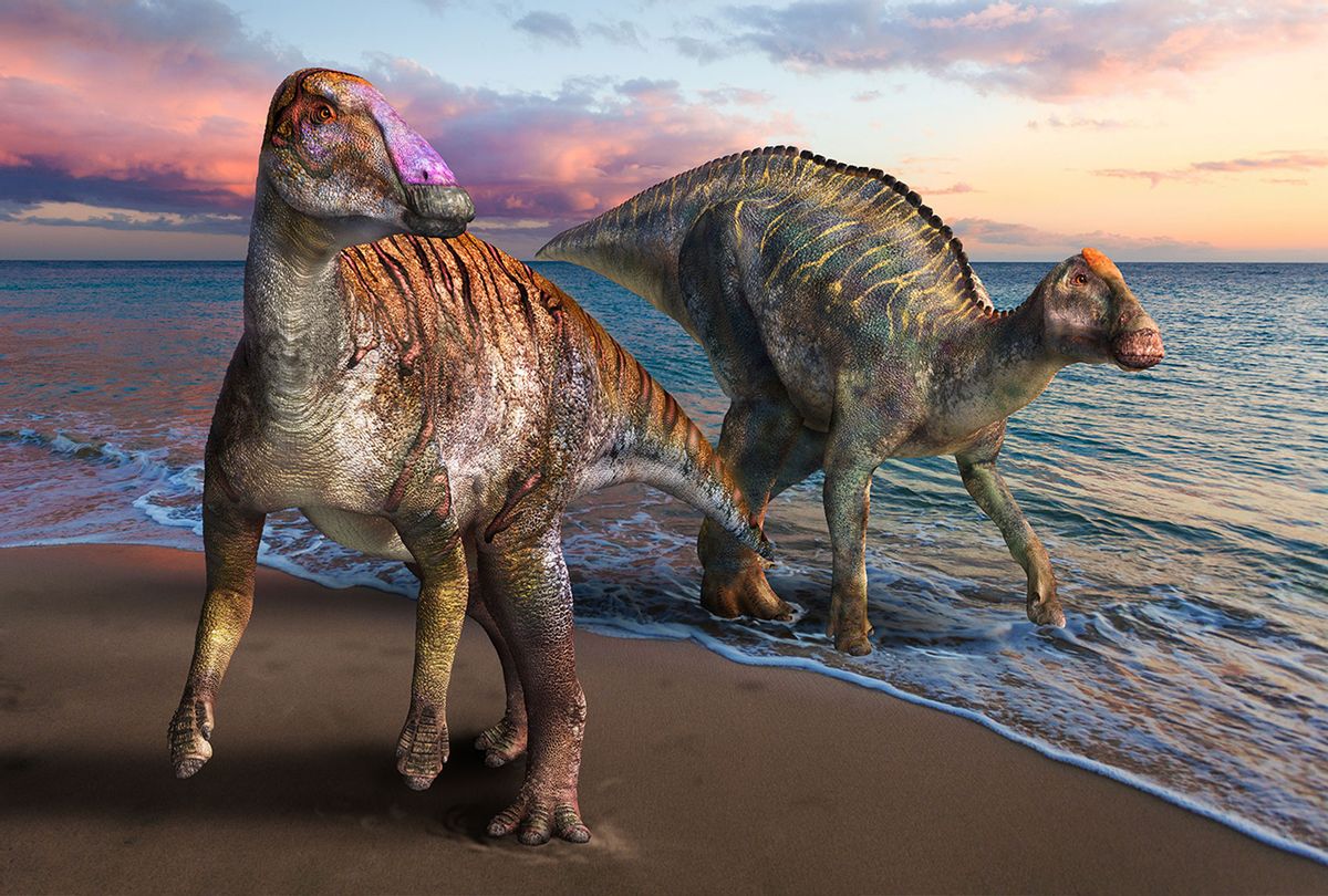 Reconstruction of Yamatosaurus with Kamuysaurus in the background (Masato Hattori)