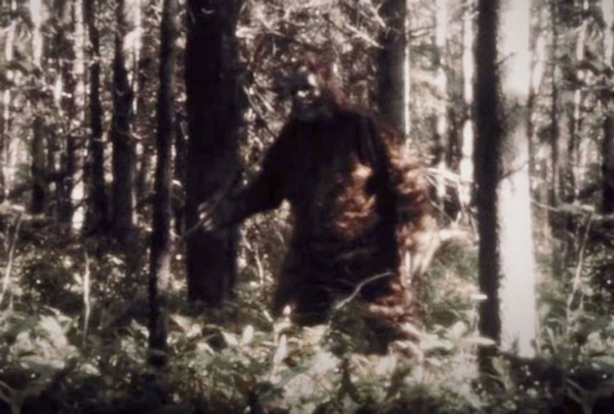 Sasquatch (Hulu)