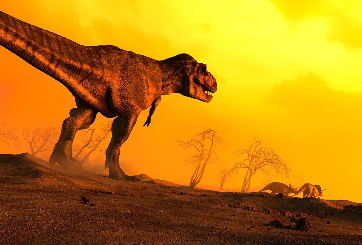 Tyrannosaurus Rex, trailing behind Ceratopsians  (Getty Images)