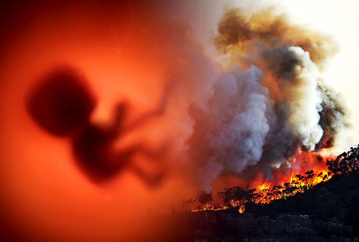 Baby in utero | Wildfires (Photo illustration by Salon/Getty Images)