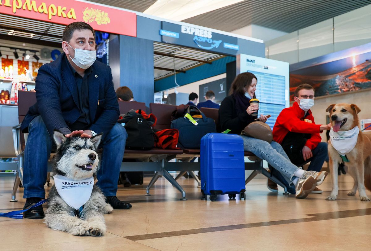 Passengers pet dogs at Dmitri Hvorostovsky Krasnoyarsk International Airport as part of the Emotional Support Dog project (Andrei Samsonov\TASS via Getty Images)