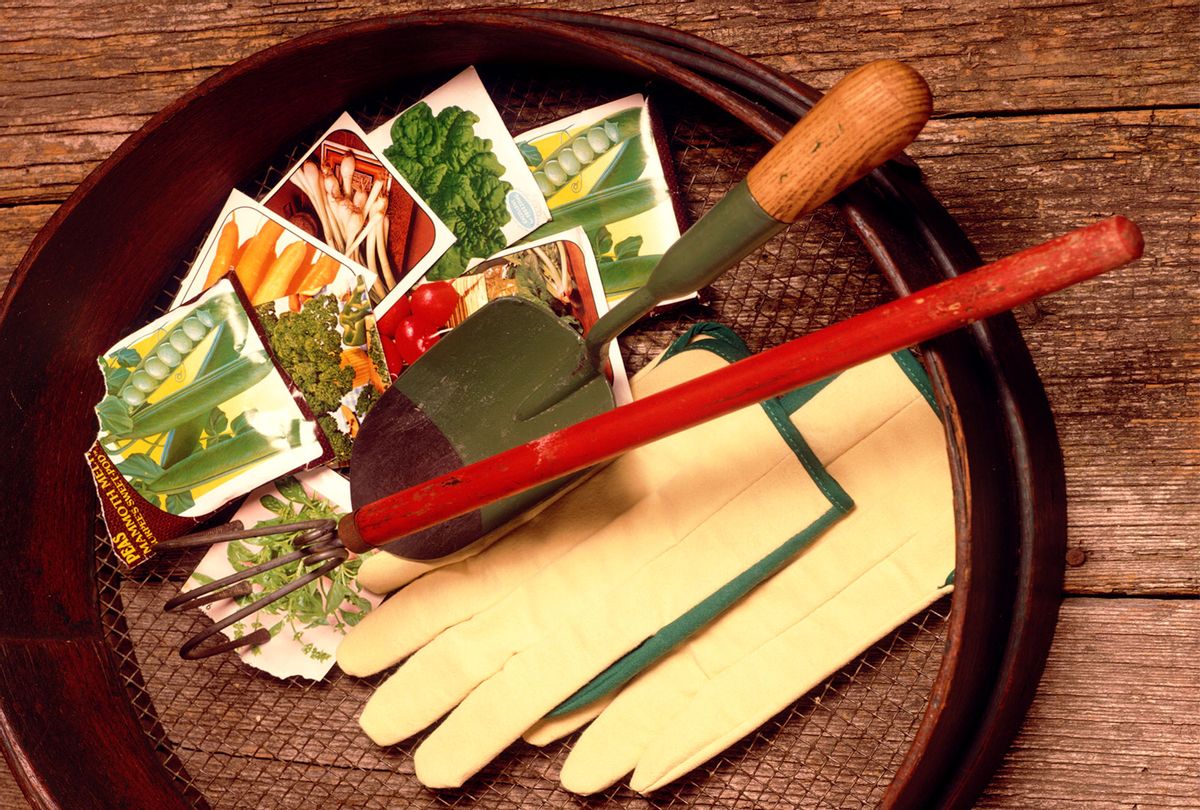 Springtime home gardening, rake, shovel, trowel, gloves, and seed packet envelopes in a soil sifter (H. Armstrong Roberts/ClassicStock/Getty Images)