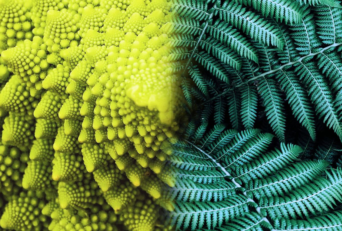 Fractals of Romanesco broccoli and fern leaves (Photo illustration by Salon/Getty Images)