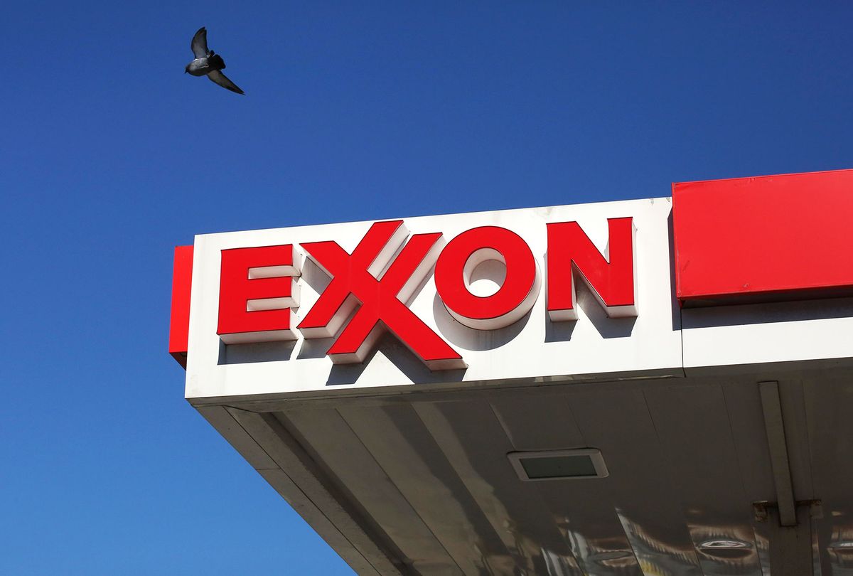 A pigeon flies over a Exxon mobil gas station (Kena Betancur/VIEWpress/Corbis via Getty Images)
