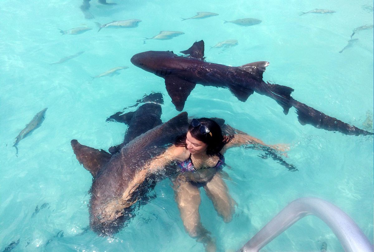 Young Woman Swimming With Nurse Sharks (Getty Images/Zoe Esteban)