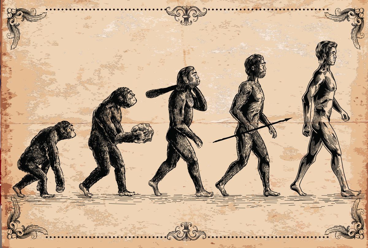Human Evolution Illustration (Getty Images/Man_Half-tube)