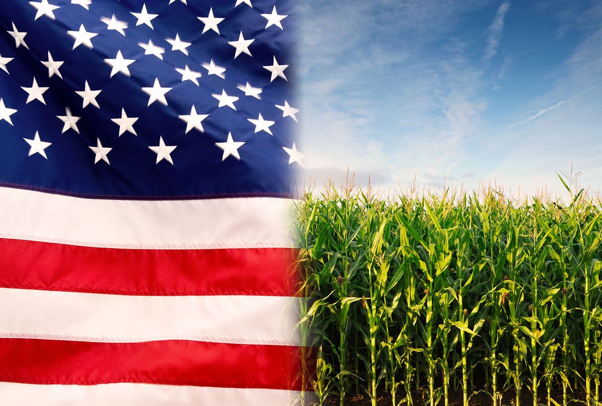 American flag and a corn field (Photo illustration by Salon/Getty Images)