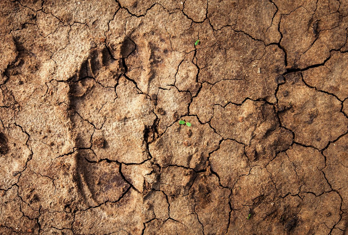 Human footprint in the desert (Getty Images/Guido Dingemans, De Eindredactie)