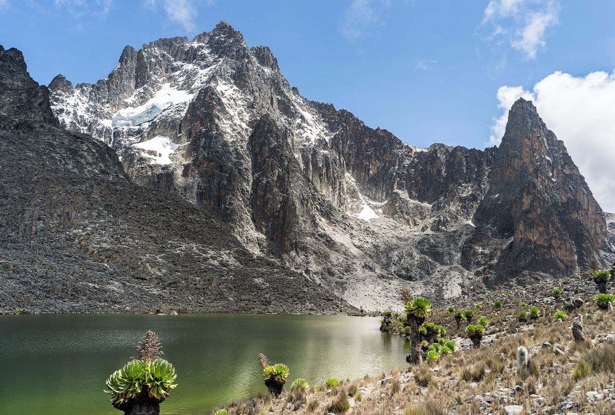 The central part of Mount Kenya with Batian (front) and Nelion (back) and typical afroalpine vegetation of Giant Lobelias and Giant Groundsel. The western rock face with the melting glaciers of Mt. Kenya. (Martin Zwick/REDA&CO/Universal Images Group via Getty Images)