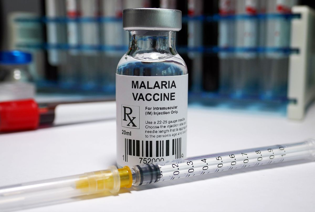 Malaria vaccine (Getty Images/Hailshadow)