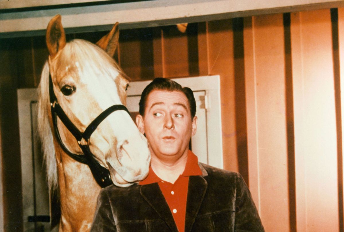 Mister Ed the talking horse and Alan Young in a scene from the television series 'Mister Ed', circa 1960. (The Mister Ed Company/Getty Images)