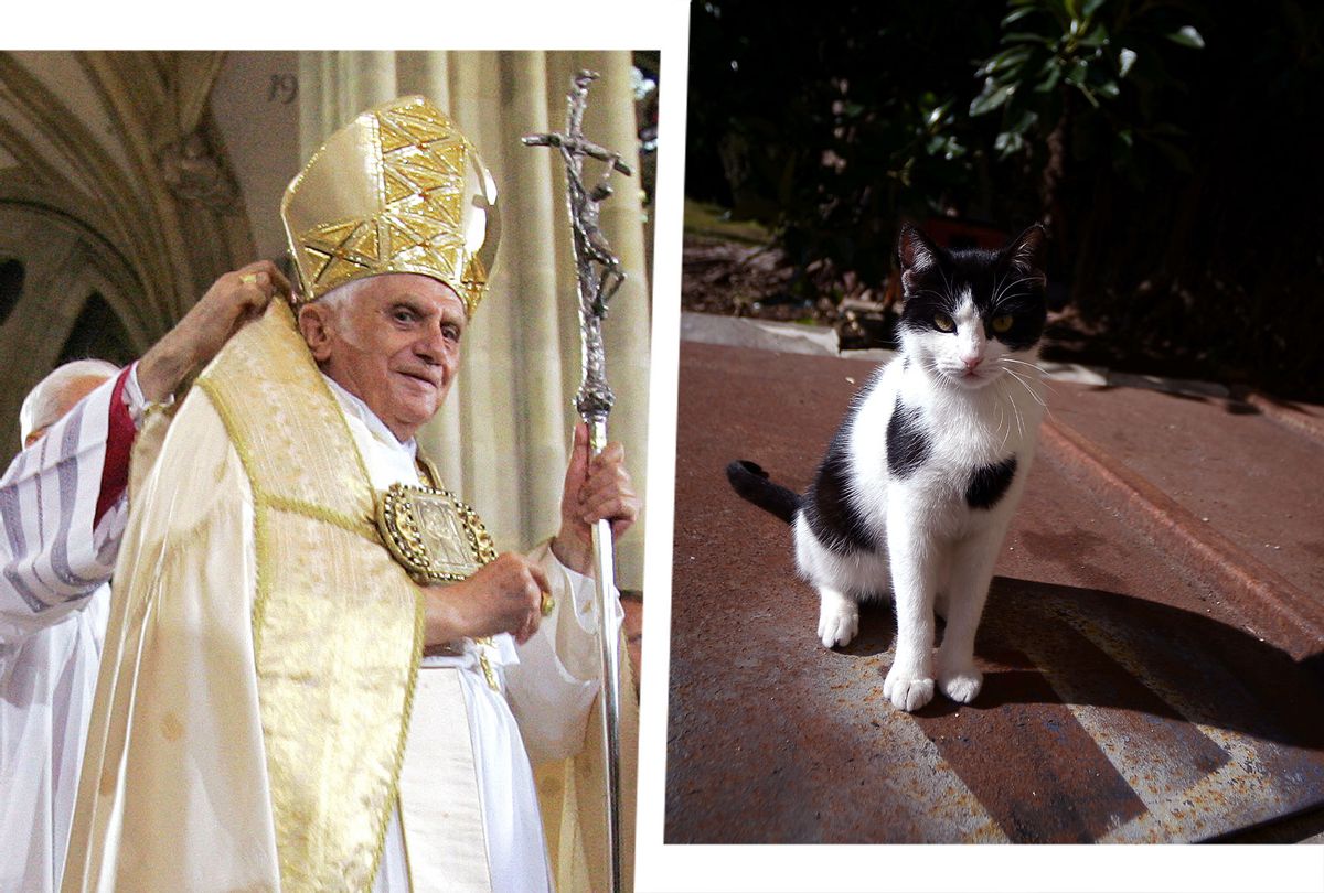 Pope Benedict XVI arrives inside the cathedral on September 12, 2006 in Bavaria | Contessina, one of Pope Benedict XVI's cats at the convent of Mater Ecclesiae inside the Vatican (Photo illustration by Salon/Fabrice Coffrini/Filippo Monteforte/AFP/Getty Images)