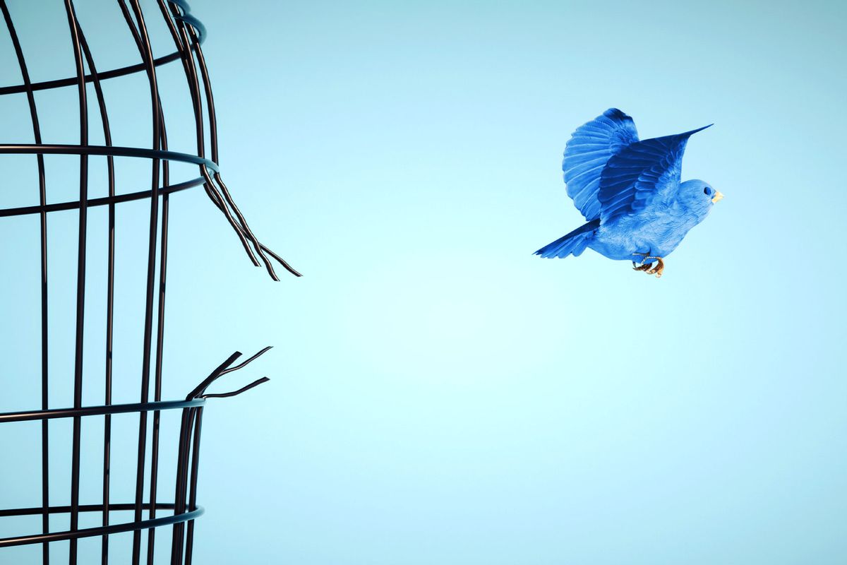 Blue colored bird escapes from bird cage (Getty Images/Mihaela Rosu)